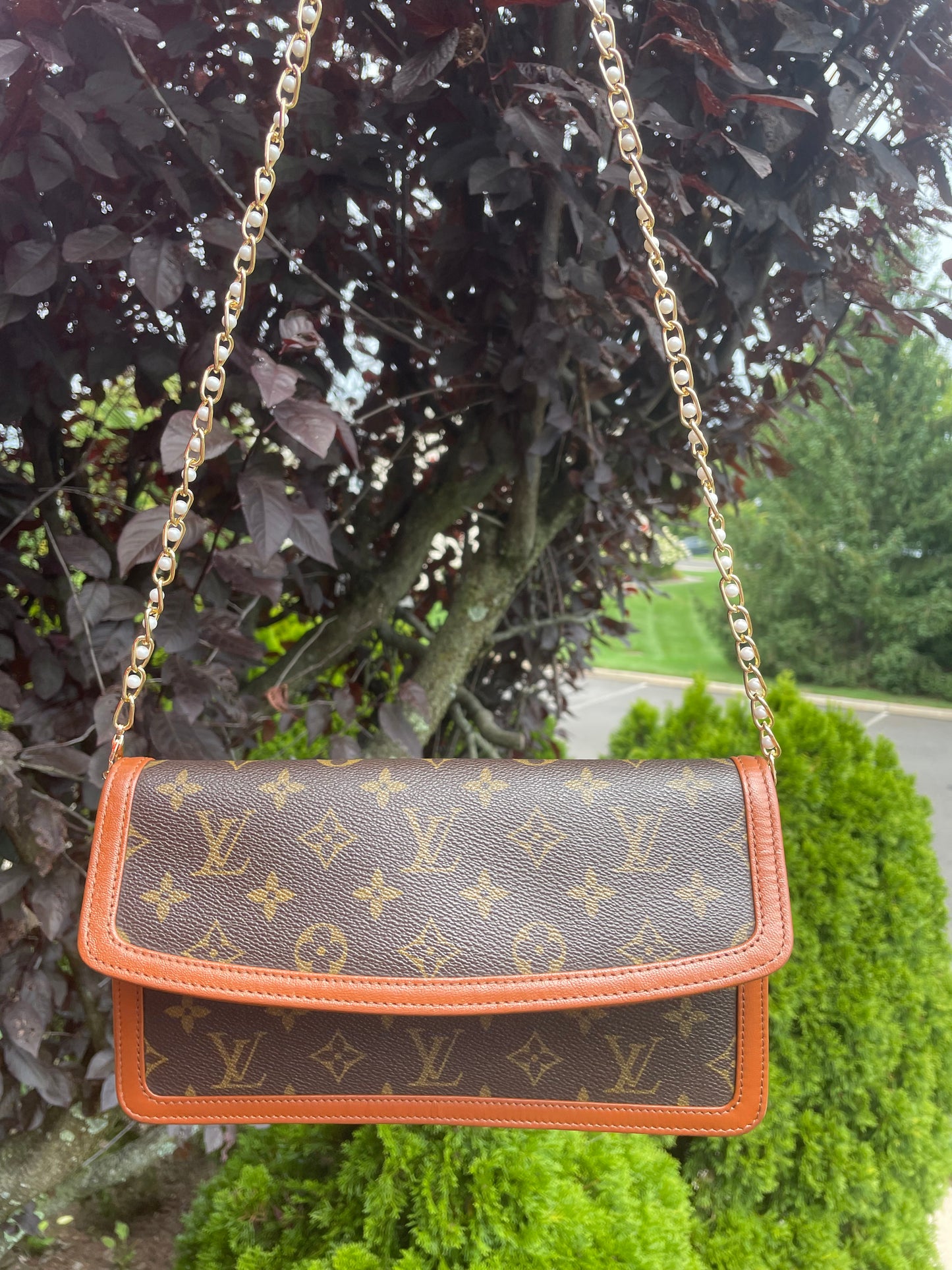 Louis Vuitton LV Dame Pochette Monogram clutch